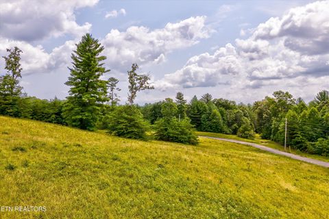 Tiny photo for Highway 62, Deer Lodge, TN 37726 (MLS # 1330983)