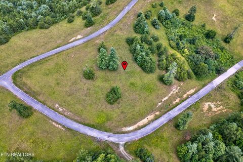 Tiny photo for Highway 62, Deer Lodge, TN 37726 (MLS # 1330983)