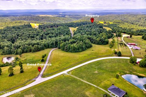 Tiny photo for Highway 62, Deer Lodge, TN 37726 (MLS # 1330983)