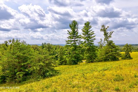 Tiny photo for Highway 62, Deer Lodge, TN 37726 (MLS # 1330983)