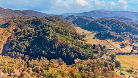 Tiny photo for 814 Adams Lane, Mooresburg, TN 37811 (MLS # 1360183)