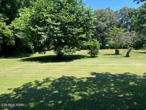 Tiny photo for 194 Patton Lane, Pikeville, TN 37367 (MLS # 1360099)