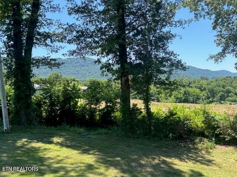 Tiny photo for 194 Patton Lane, Pikeville, TN 37367 (MLS # 1360099)