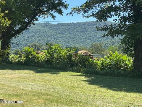 Tiny photo for 194 Patton Lane, Pikeville, TN 37367 (MLS # 1360099)