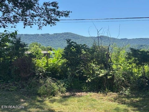 Tiny photo for 194 Patton Lane, Pikeville, TN 37367 (MLS # 1360099)