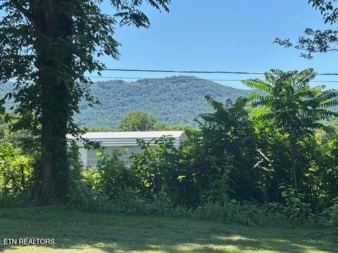 Tiny photo for 194 Patton Lane, Pikeville, TN 37367 (MLS # 1360099)