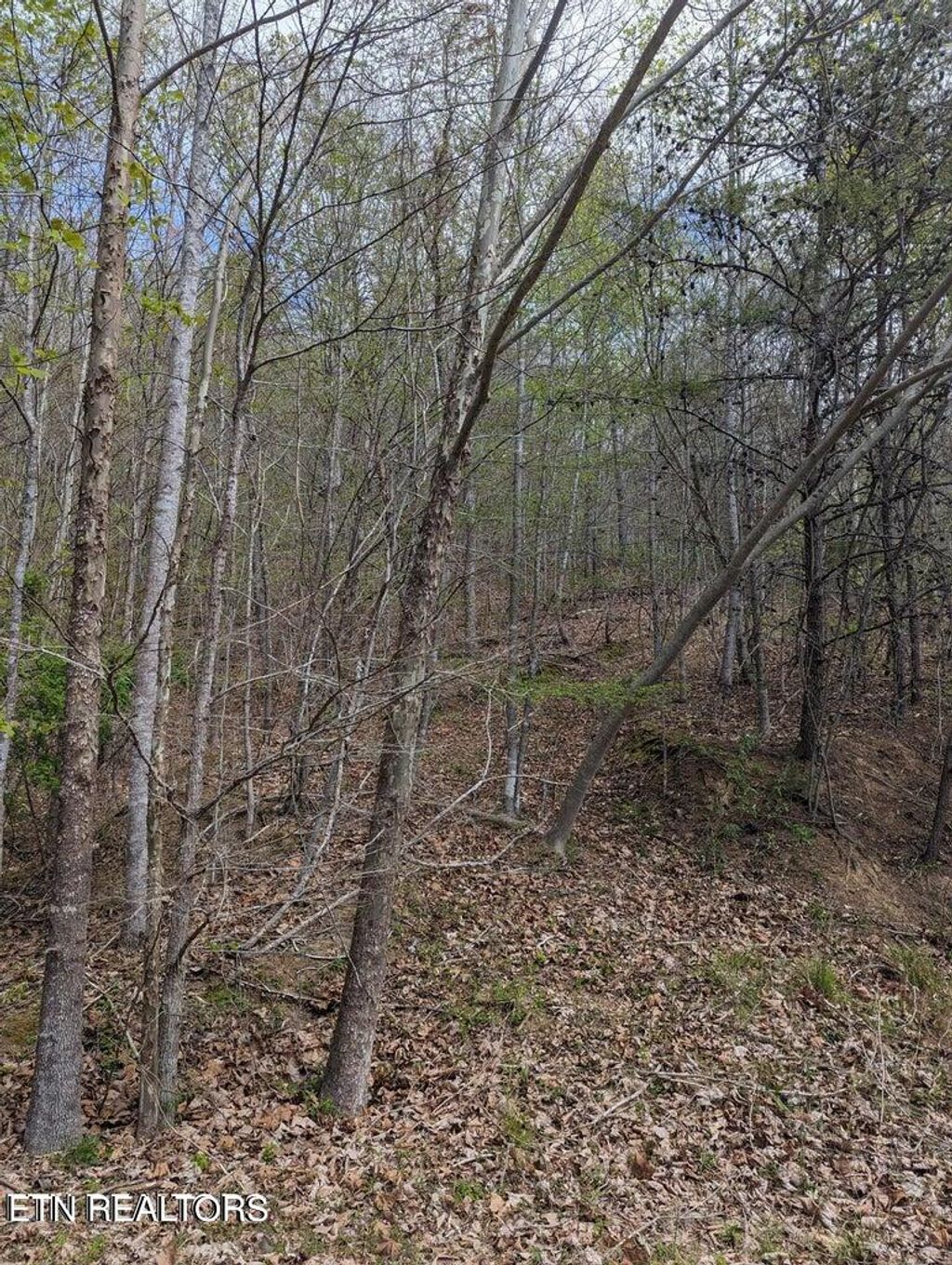Photo of TBD Bluff View Rd, New Tazewell, TN 37825 (MLS # 1276449)