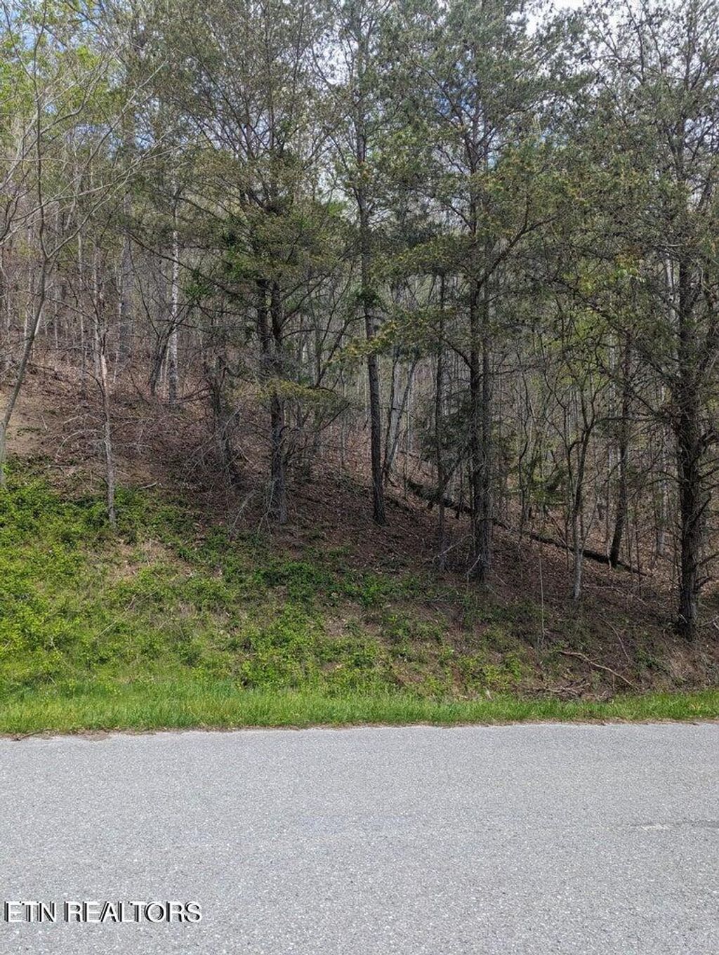 Photo of TBD Bluff View Rd, New Tazewell, TN 37825 (MLS # 1276449)