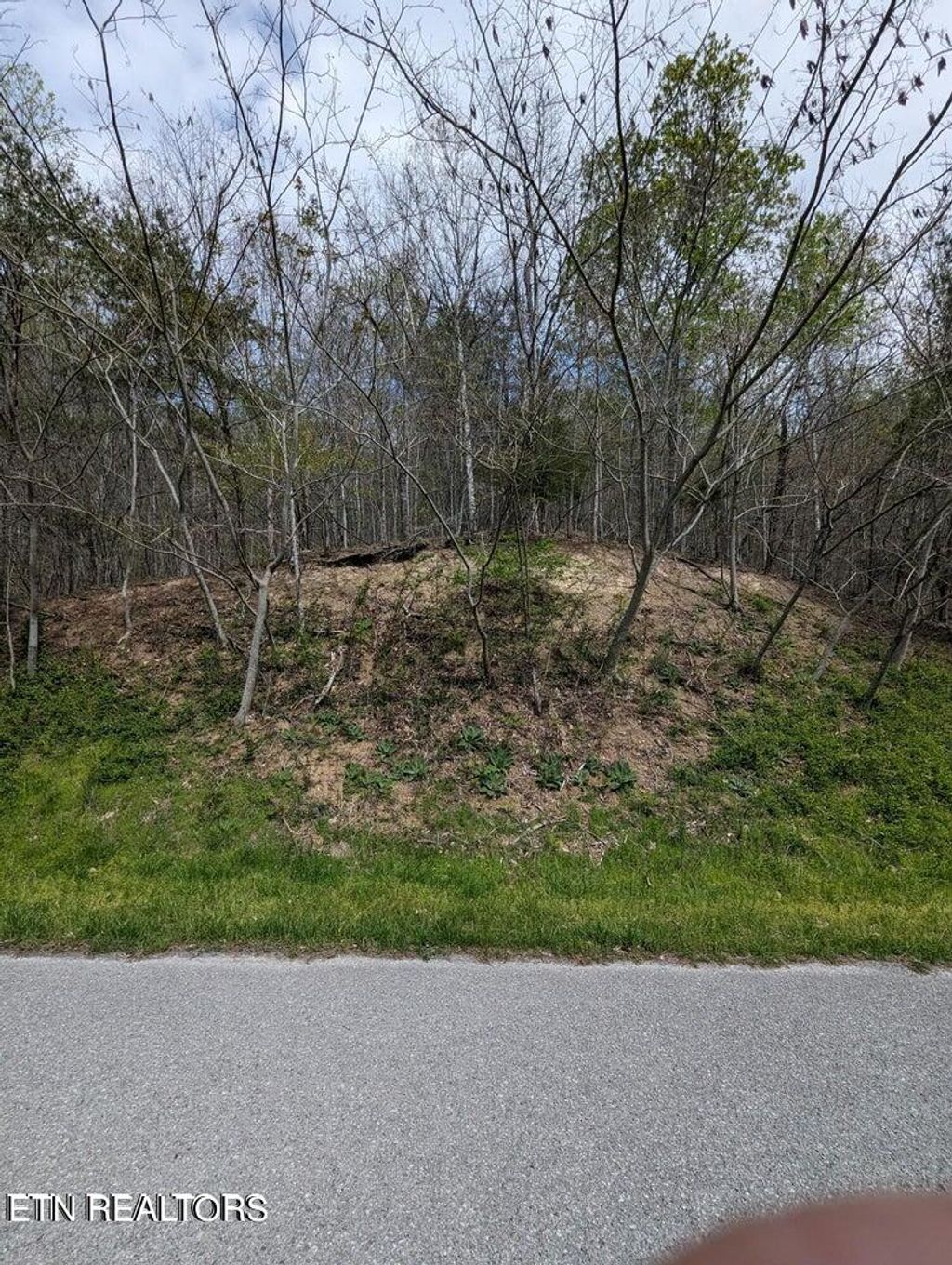 Photo of TBD Bluff View Rd, New Tazewell, TN 37825 (MLS # 1276449)