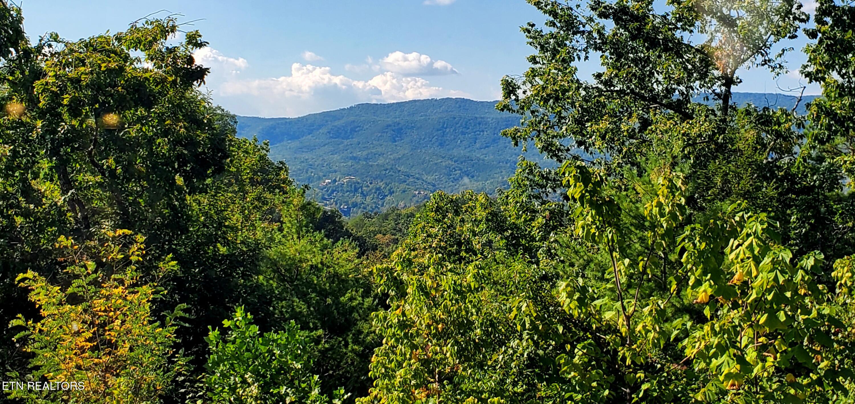 2218 Village Summit Drive