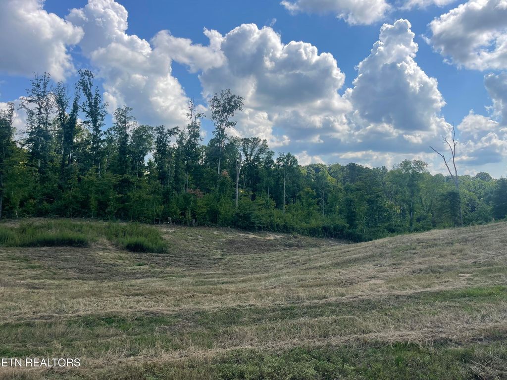 Photo of 16 Laura Boling Loop Rd, Strawberry Plains, TN 37871 (MLS # 1310684)