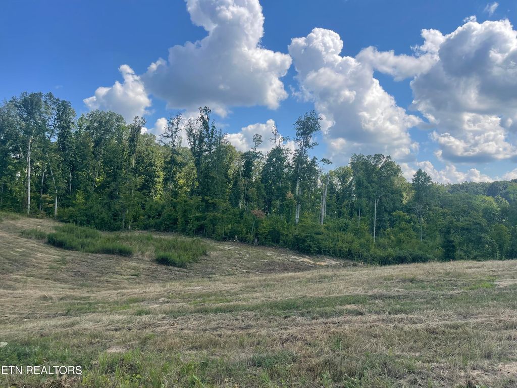 Photo of 16 Laura Boling Loop Rd, Strawberry Plains, TN 37871 (MLS # 1310684)