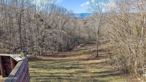 Tiny photo for 2719 Oak Grove Rd, Rocky Top, TN 37769 (MLS # 1327249)