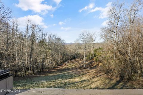 Tiny photo for 2719 Oak Grove Rd, Rocky Top, TN 37769 (MLS # 1327249)