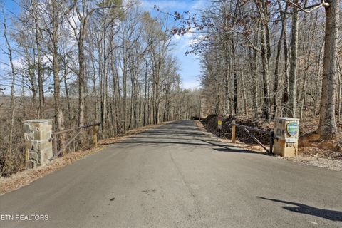 Tiny photo for 2719 Oak Grove Rd, Rocky Top, TN 37769 (MLS # 1327249)