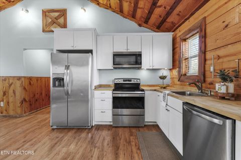 Tiny photo for 2719 Oak Grove Rd, Rocky Top, TN 37769 (MLS # 1327249)