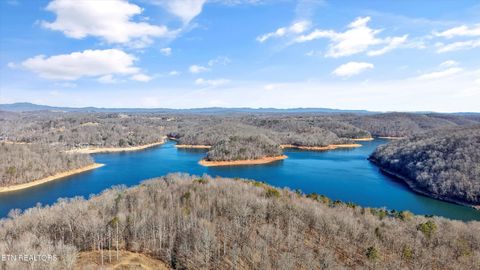 Tiny photo for 2719 Oak Grove Rd, Rocky Top, TN 37769 (MLS # 1327249)