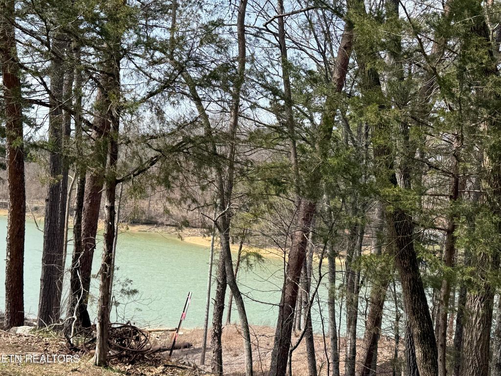 Photo of SUMMER BREEZE Lane, New Tazewell, TN 37825 (MLS # 1293139)