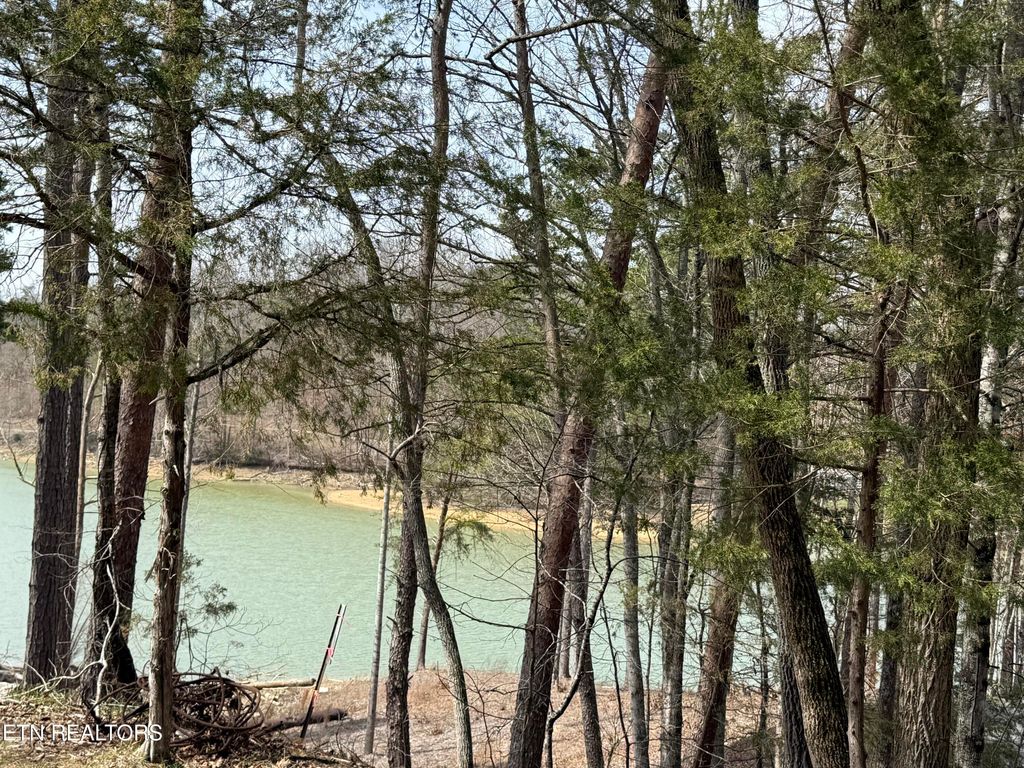 Photo of SUMMER BREEZE Lane, New Tazewell, TN 37825 (MLS # 1293139)
