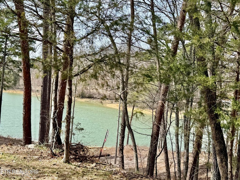 Photo of SUMMER BREEZE Lane, New Tazewell, TN 37825 (MLS # 1293139)