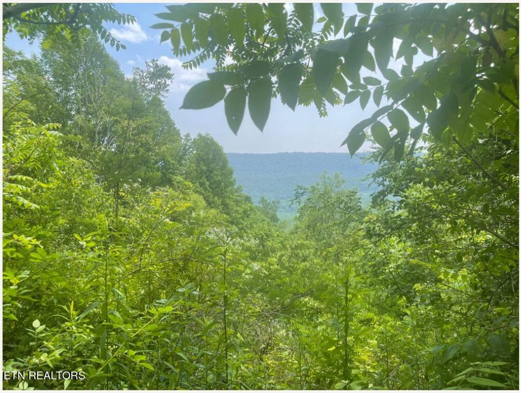 Photo of Hatfield Creek Rd, Newcomb, TN 37819 (MLS # 1275491)