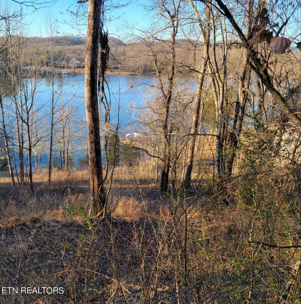 Photo of 455 Clearwater Drive, Spring City, TN 37381 (MLS # 1250248)