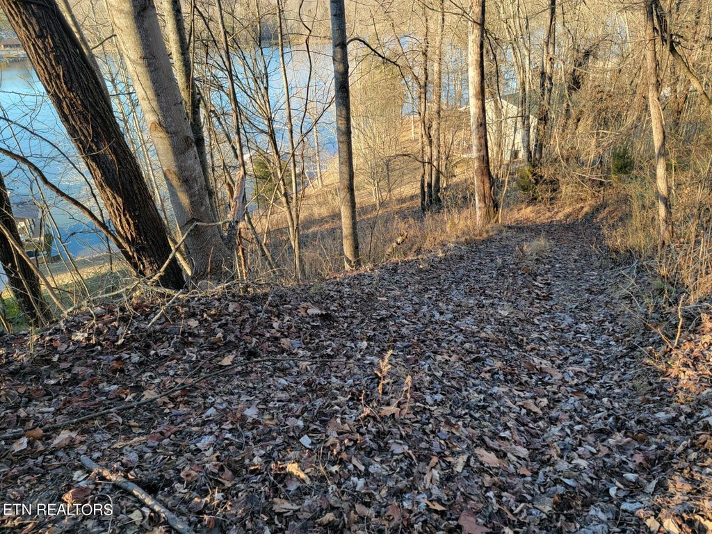 Photo of 455 Clearwater Drive, Spring City, TN 37381 (MLS # 1250248)