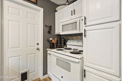 Tiny photo for 1409 Monroe Ave, Maryville, TN 37804 (MLS # 1340719)