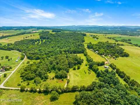Tiny photo for Lost Creek, 5.9 Acres Lot 4, New Market, TN 37820 (MLS # 1332633)