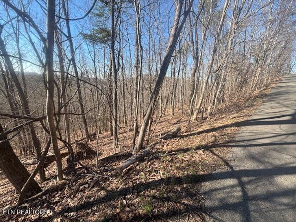 Photo of 207 Laurel Mtn Road Rd, Madisonville, TN 37354 (MLS # 1295701)