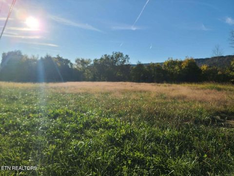 2580 Cawood Rd Spring City TN 37381