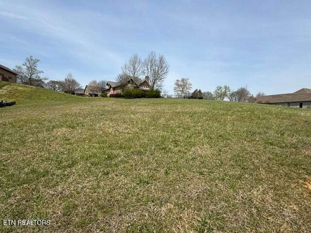 Photo of 335 Hawks Bnd, Loudon, TN 37774 (MLS # 1335319)