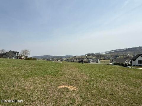 Photo of 335 Hawks Bnd, Loudon, TN 37774 (MLS # 1335319)