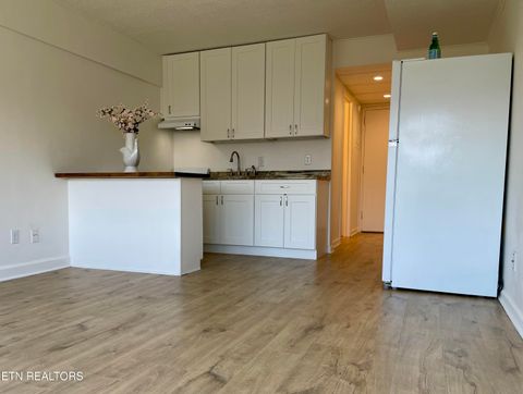 Tiny photo for 1700 Clinch Ave #221, Knoxville, TN 37916 (MLS # 1338082)