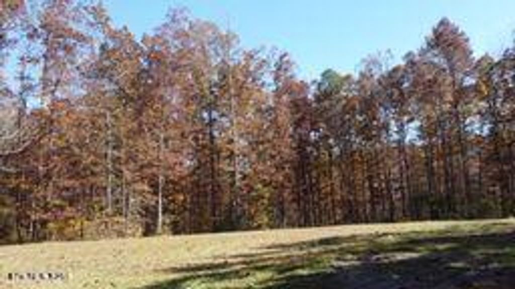 Photo of 2036 Helenwood Detour Rd, Helenwood, TN 37755 (MLS # 1340092)
