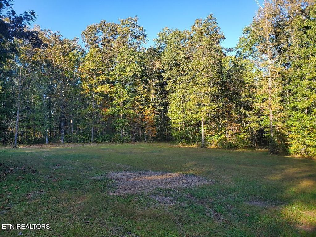 Photo of 2036 Helenwood Detour Rd, Helenwood, TN 37755 (MLS # 1340092)