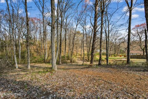 Tiny photo for 1205 Hoss Rd, Powell, TN 37849 (MLS # 1333591)