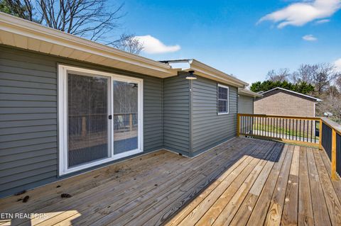 Tiny photo for 1205 Hoss Rd, Powell, TN 37849 (MLS # 1333591)