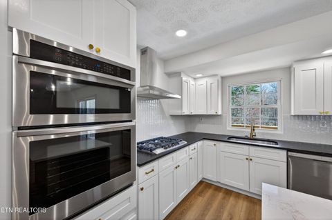 Tiny photo for 1205 Hoss Rd, Powell, TN 37849 (MLS # 1333591)