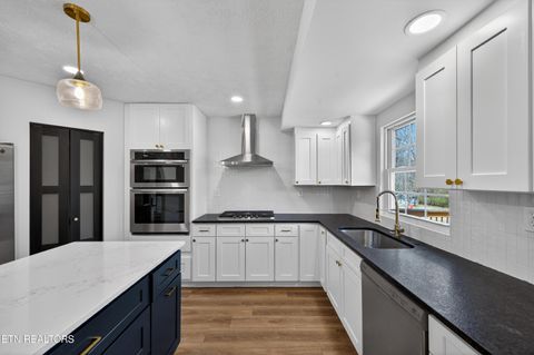 Tiny photo for 1205 Hoss Rd, Powell, TN 37849 (MLS # 1333591)