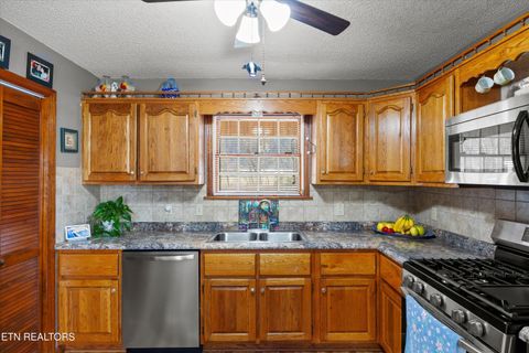 Tiny photo for 3888 Cosby Hwy, Cosby, TN 37722 (MLS # 1327496)