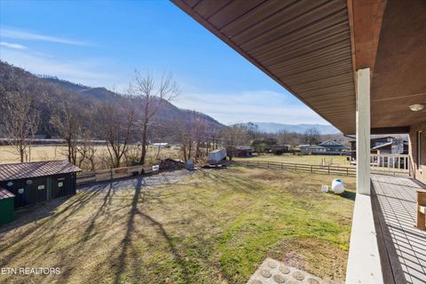Tiny photo for 3888 Cosby Hwy, Cosby, TN 37722 (MLS # 1327496)