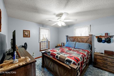 Tiny photo for 3888 Cosby Hwy, Cosby, TN 37722 (MLS # 1327496)