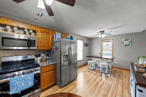 Tiny photo for 3888 Cosby Hwy, Cosby, TN 37722 (MLS # 1327496)