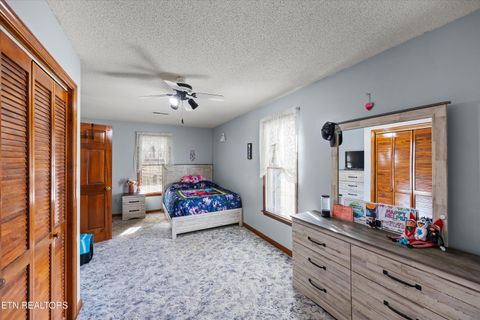 Tiny photo for 3888 Cosby Hwy, Cosby, TN 37722 (MLS # 1327496)