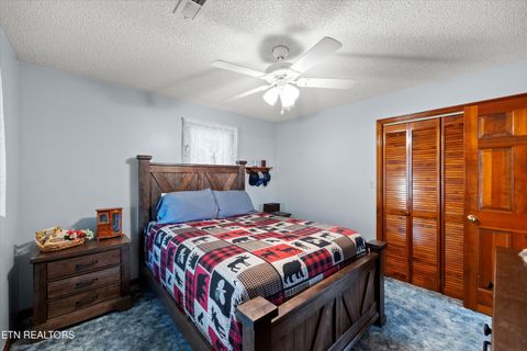 Tiny photo for 3888 Cosby Hwy, Cosby, TN 37722 (MLS # 1327496)