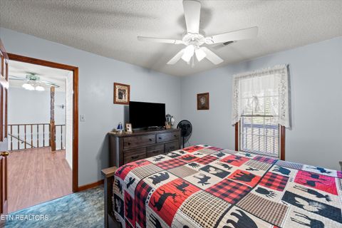 Tiny photo for 3888 Cosby Hwy, Cosby, TN 37722 (MLS # 1327496)