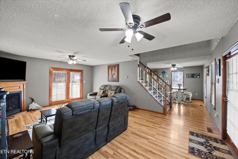 Tiny photo for 3888 Cosby Hwy, Cosby, TN 37722 (MLS # 1327496)