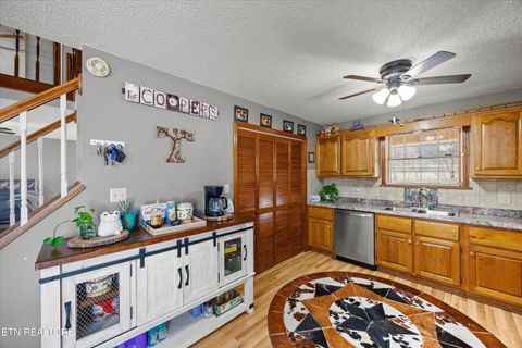 Tiny photo for 3888 Cosby Hwy, Cosby, TN 37722 (MLS # 1327496)