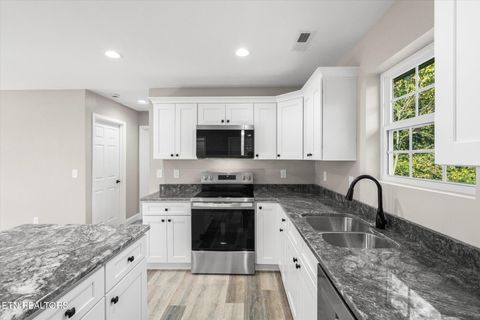 Tiny photo for 922 Beech Rd, Sevierville, TN 37862 (MLS # 1319233)
